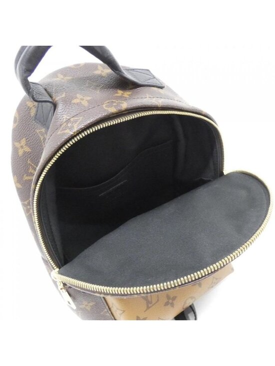 Louis Vuitton Monogram Reverse Palm Spring Backpack PM